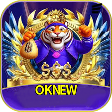 OKNEW logo